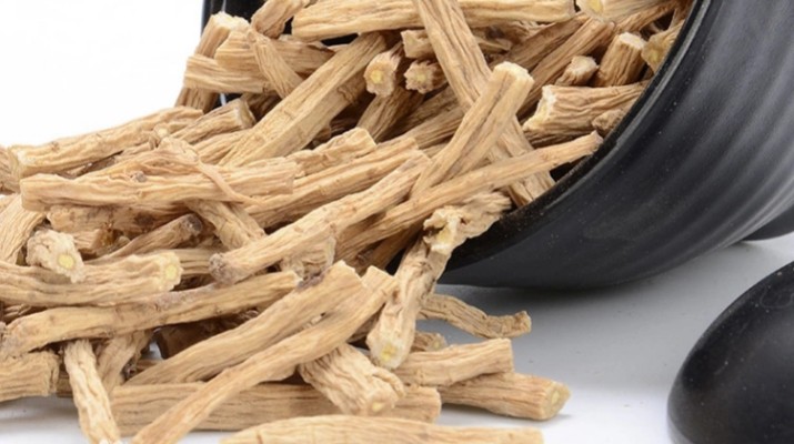 享游渭河源丨千年藥香浸潤的山水秘境，開啟一場康養(yǎng)之旅